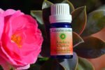 Anahata <i> (Heart)</i> Chakra <i>Blend</i> - Image 2