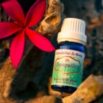 Tranquility Blend - Image 2